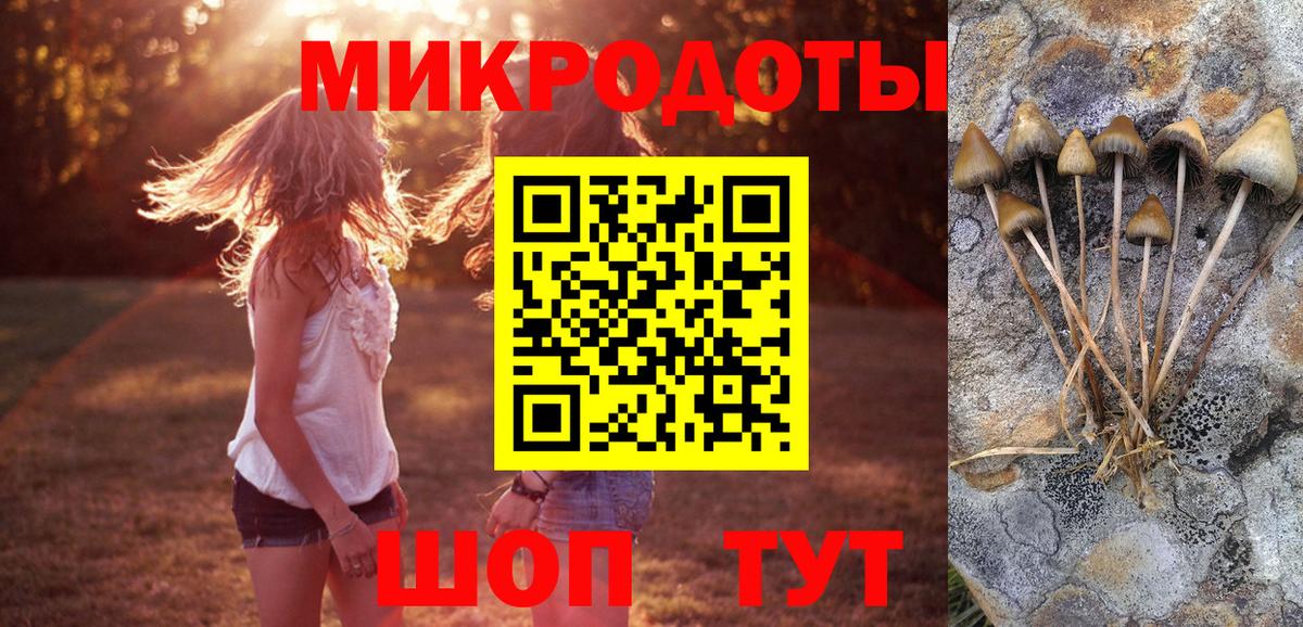 Галлюциногенные грибы MAGIC MUSHROOMS  где найти наркотики  Шелехов  Вход с VPN 