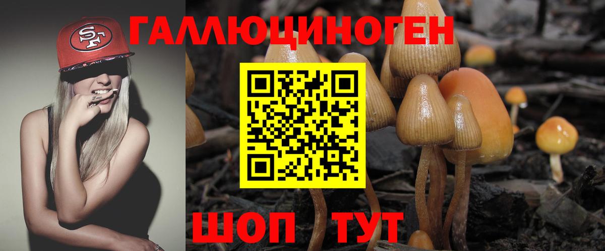 Галлюциногенные грибы MAGIC MUSHROOMS Шелехов